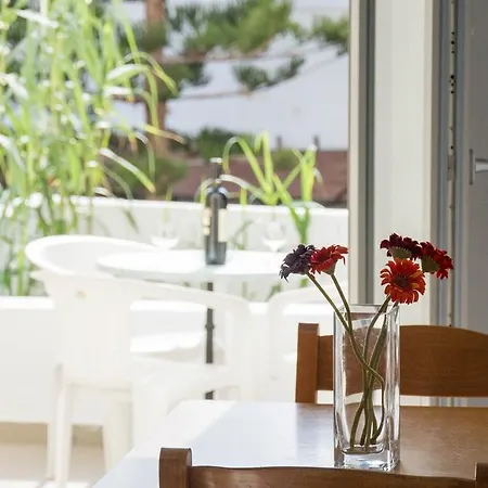 Sail Studios&apartments Apartamento Kamári