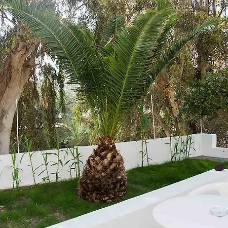 Daire Sail & Kamári